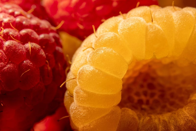 Exquisite Dessert